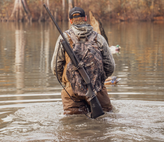 Emendamenti per consentire la caccia nel demanio marittimo Emendamenti per consentire la caccia nel demanio marittimo - scena di caccia agli acquatici