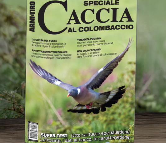 Lo speciale Caccia al colombaccio in edicola Lo speciale Caccia al colombaccio in edicola
