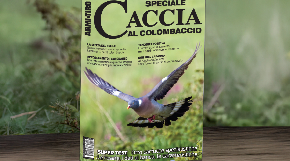 Lo speciale Caccia al colombaccio in edicola Lo speciale Caccia al colombaccio in edicola