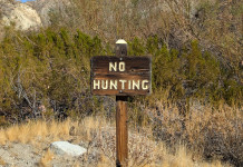 Raggiunta la soglia per presentare il ddl popolare sul divieto generale di caccia Raggiunta la soglia per presentare il ddl popolare sul divieto generale di caccia