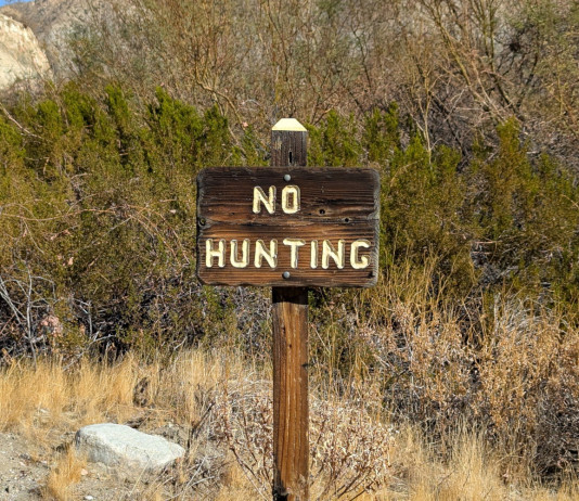 Raggiunta la soglia per presentare il ddl popolare sul divieto generale di caccia Raggiunta la soglia per presentare il ddl popolare sul divieto generale di caccia