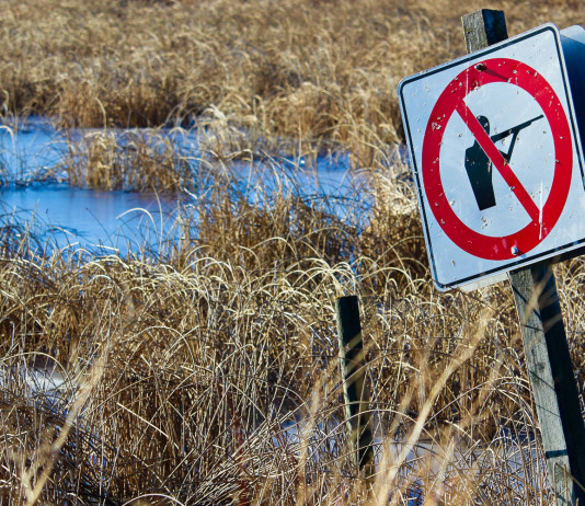 Verdi-Sinistra: sospendere la caccia per un anno Verdi-Sinistra: sospendere la caccia per un anno: cartello divieto di caccia