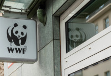 Appello di 55 associazioni contro la riforma della legge sulla caccia Appello di 55 associazioni contro la riforma della legge sulla caccia: logo wwf