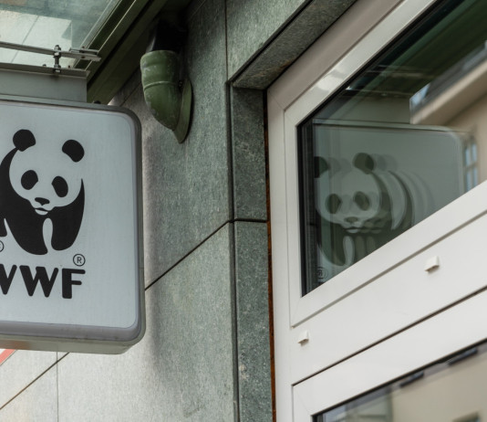 Appello di 55 associazioni contro la riforma della legge sulla caccia Appello di 55 associazioni contro la riforma della legge sulla caccia: logo wwf