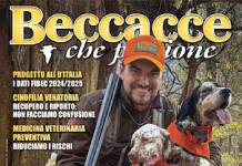 Beccacce che Passione numero 4 2025 vi aspetta in edicola Beccacce che Passione numero 4 2025