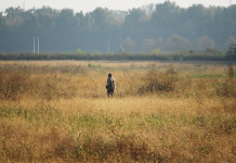 Buconi (Fidc) torna sulle problematiche legate al rilascio e al rinnovo del porto d’armi Buconi (Fidc) torna sulle problematiche legate al rilascio e al rinnovo del porto d’armi - cacciatore