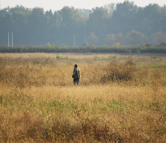 Buconi (Fidc) torna sulle problematiche legate al rilascio e al rinnovo del porto d’armi Buconi (Fidc) torna sulle problematiche legate al rilascio e al rinnovo del porto d’armi - cacciatore