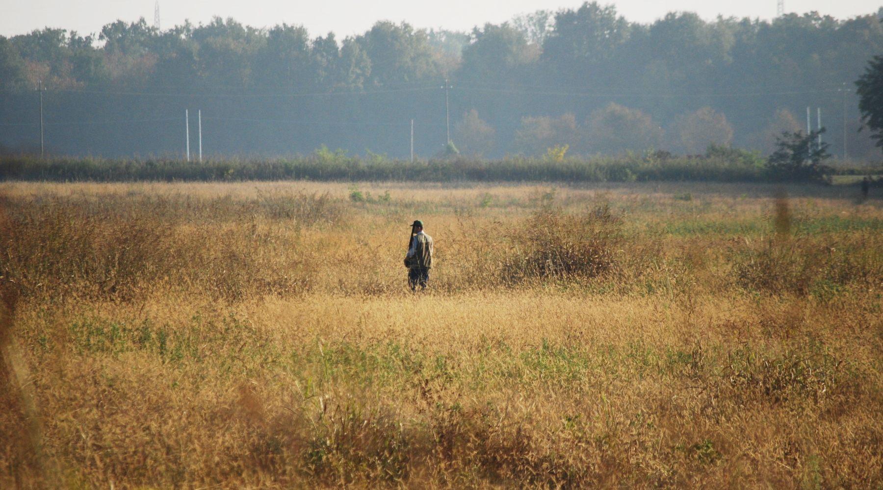 Buconi (Fidc) torna sulle problematiche legate al rilascio e al rinnovo del porto d’armi Buconi (Fidc) torna sulle problematiche legate al rilascio e al rinnovo del porto d’armi - cacciatore