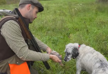 Come si sceglie la cartuccia giusta per la caccia con il cane? Il video tutorial Come si sceglie la cartuccia giusta per la caccia con il cane video tutorial