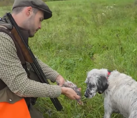 Come si sceglie la cartuccia giusta per la caccia con il cane? Il video tutorial Come si sceglie la cartuccia giusta per la caccia con il cane video tutorial
