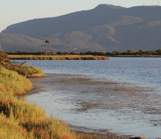 Perché conviene investire sulla biodiversità? A Orbetello il convegno Una-Ab Perché conviene investire sulla biodiversità? A Orbetello il convegno Una-Ab