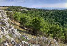 Respinto appello su ampliamento aree contigue al Parco nazionale dell’Alta Murgia Respinto appello su ampliamento aree contigue al Parco nazionale dell’Alta Murgia