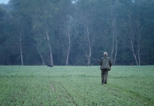 Accolto appello delle associazioni venatorie su cacciatori ammessi ad Atc Campania Accolto appello delle associazioni venatorie su cacciatori ammessi ad Atc Campania