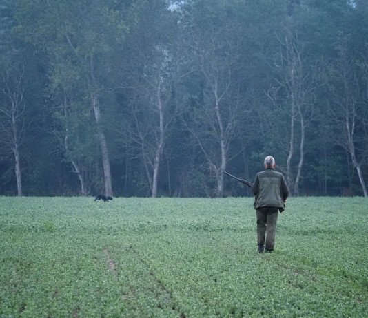 Accolto appello delle associazioni venatorie su cacciatori ammessi ad Atc Campania Accolto appello delle associazioni venatorie su cacciatori ammessi ad Atc Campania