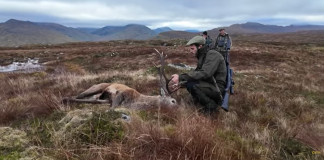 Caccia al cervo nelle Highlands scozzesi: il video Caccia al cervo nelle Highlands scozzesi video