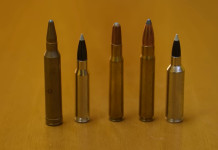 Calibri per la braccata a confronto: il video della Caccia Magazine Academy Calibri per la braccata a confronto video della Caccia Magazine Academy