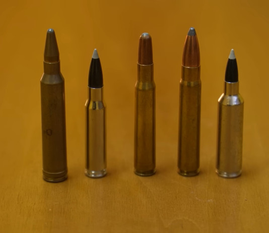 Calibri per la braccata a confronto: il video della Caccia Magazine Academy Calibri per la braccata a confronto video della Caccia Magazine Academy