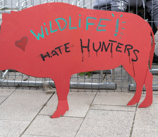 Federcaccia: modificate il codice penale per punire l’incitamento all’odio Federcaccia modificate il codice penale per punire l’incitamento all’odio