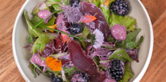 Insalata e crostini di bresaola di daino: le due ricette di Selvaggina in tavola Insalata e crostini di bresaola di daino le due ricette di Selvaggina in tavola