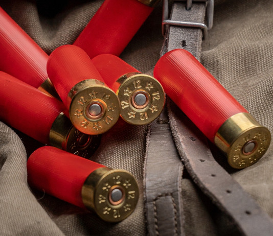 Strade separate per divieto di piombo nelle munizioni e nell’attrezzatura da pesca Strade separate per divieto di piombo nelle munizioni e nell’attrezzatura da pesca