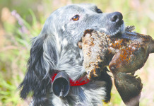 Caccia Magazine dicembre 2025 in edicola e nello shop online Caccia Magazine dicembre 2025 contenuti argomenti