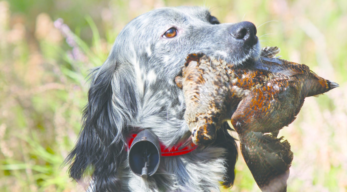 Caccia Magazine dicembre 2025 in edicola e nello shop online Caccia Magazine dicembre 2025 contenuti argomenti