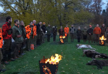 Caccia in battuta in Svezia: il video Caccia in battuta in Svezia video