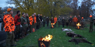 Caccia in battuta in Svezia: il video Caccia in battuta in Svezia video