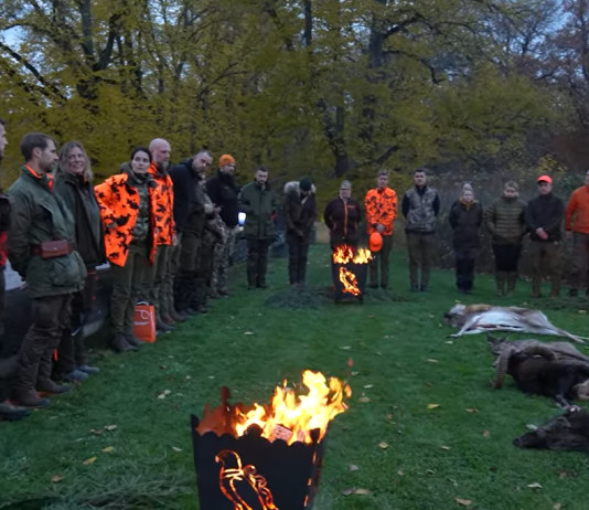 Caccia in battuta in Svezia: il video Caccia in battuta in Svezia video