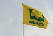 Coldiretti Toscana: la peste suina africana va combattuta meglio Coldiretti Toscana la peste suina africana va combattuta meglio - bandiera coldiretti