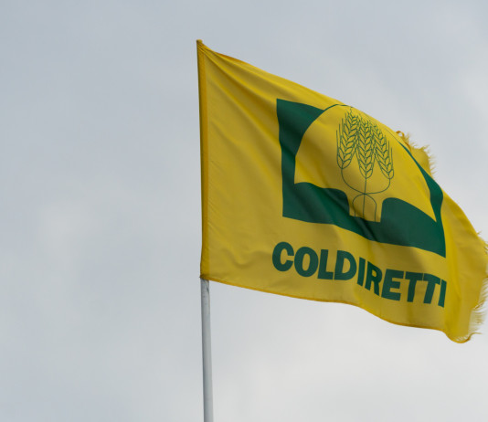 Coldiretti Toscana: la peste suina africana va combattuta meglio Coldiretti Toscana la peste suina africana va combattuta meglio - bandiera coldiretti