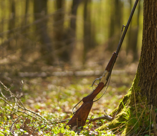 Fondazione Capellino istituisce una commissione tecnica sulla riforma della legge sulla caccia Fondazione Capellino istituisce una commissione tecnica sulla riforma della legge sulla caccia - fucile appoggiato ad albero