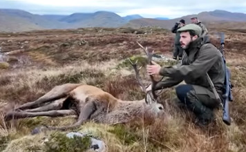 Härkila Finnmark Hws: il video del test a caccia