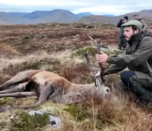 Härkila Finnmark Hws: il video del test a caccia