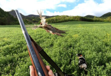 Maria Angela Santini vince «A caccia di scatti 2025» Maria Angela Santini vince «A caccia di scatti 2025»