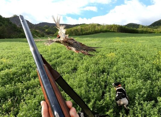 Maria Angela Santini vince «A caccia di scatti 2025» Maria Angela Santini vince «A caccia di scatti 2025»