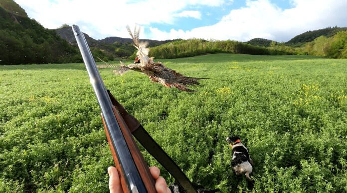 Maria Angela Santini vince «A caccia di scatti 2025» Maria Angela Santini vince «A caccia di scatti 2025»