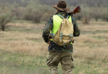 Perché in Germania i cacciatori aumentano? Perché in Germania i cacciatori aumentano