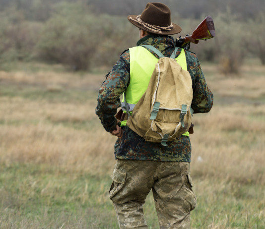 Perché in Germania i cacciatori aumentano? Perché in Germania i cacciatori aumentano
