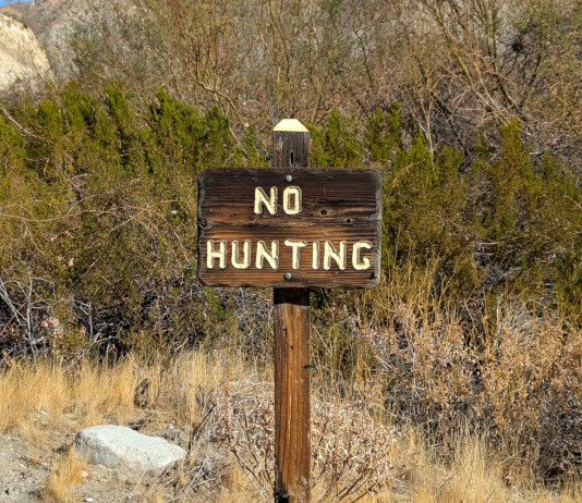Quante firme per la petizione della Fondazione Capellino contro la riforma della legge sulla caccia? Quante firme per la petizione della Fondazione Capellino contro la riforma della legge sulla caccia? cartello no hunting