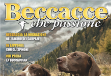 Beccacce che Passione numero 1 2026 vi aspetta in edicola Beccacce che Passione numero 1 2026