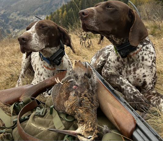 Beccacce che Passione: in edicola il primo numero del 2026 Beccacce che Passione numero 1 2026