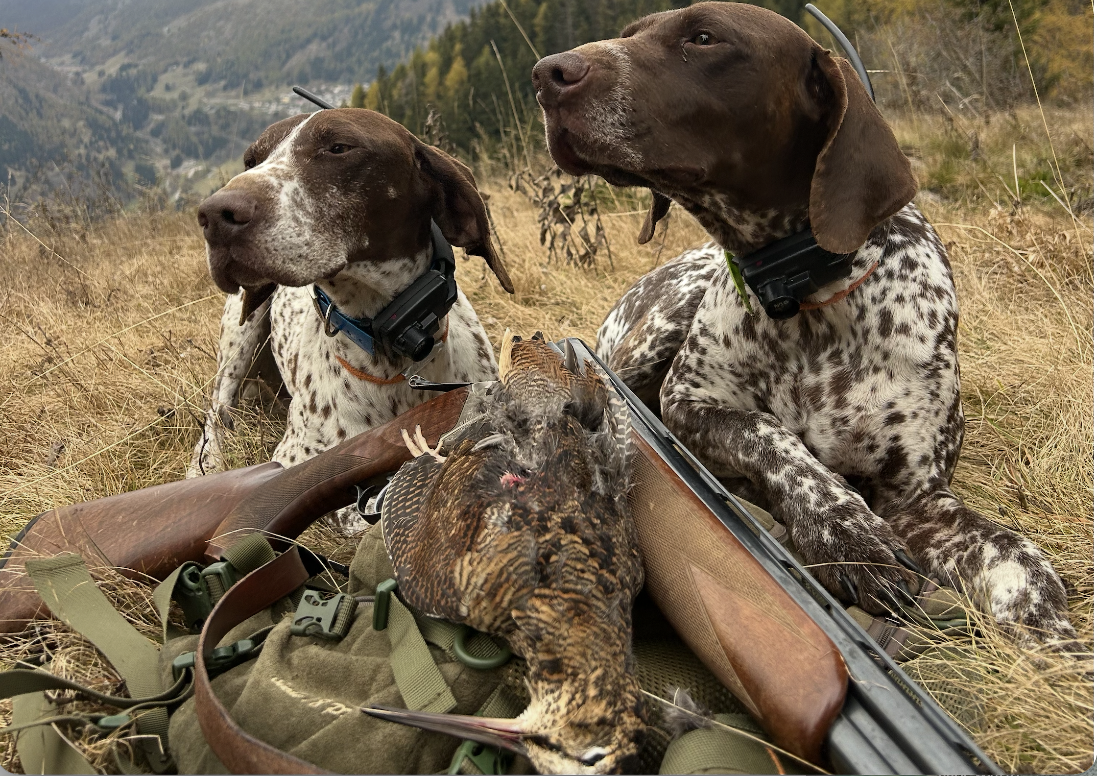 Beccacce che Passione 2026 Beccacce che Passione numero 1 2026