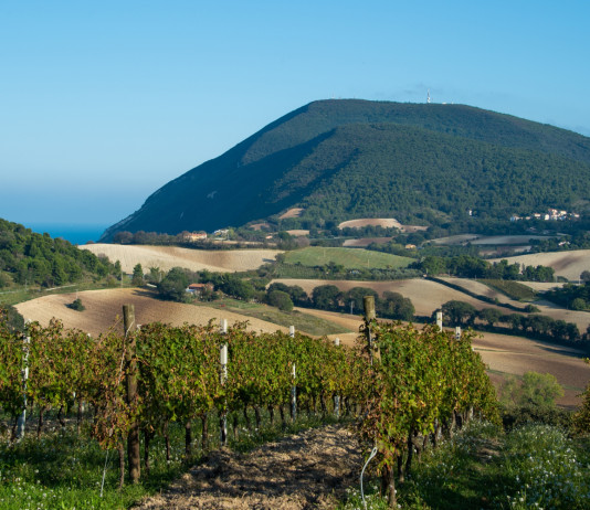 Urca Marche firma convenzione per gestione del centro di sosta nel Parco del Conero Urca Marche firma convenzione per gestione del centro di sosta nel Parco del Conero