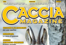 Caccia Magazine gennaio 2026 caccia magazine gennaio 2026