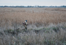 Bagarre tra associazioni sulle aziende faunistico-venatorie in forma d’impresa Bagarre tra associazioni sulle aziende faunistico-venatorie in forma d’impresa - cacciatore con cane