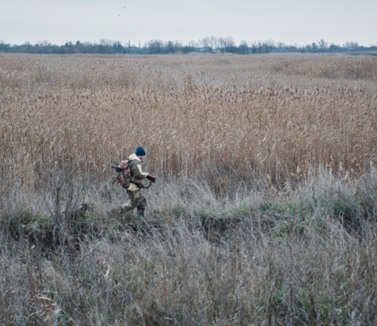 Bagarre tra associazioni sulle aziende faunistico-venatorie in forma d’impresa Bagarre tra associazioni sulle aziende faunistico-venatorie in forma d’impresa - cacciatore con cane