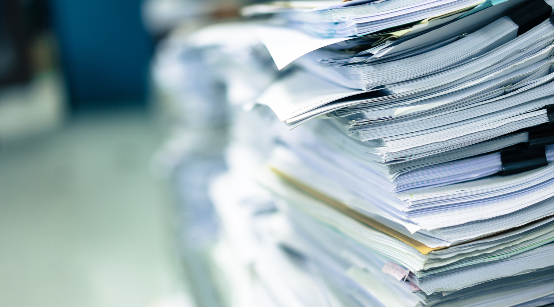 Diciannove settimane senza votare gli emendamenti alla riforma della legge sulla caccia Diciannove settimane senza votare gli emendamenti alla riforma della legge sulla caccia