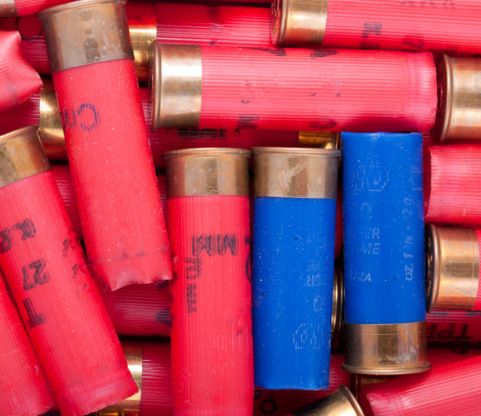 Face: Ue ha aggiornato proposta su restrizioni a cartucce in piombo Face Ue ha aggiornato proposta su restrizioni a cartucce in piombo