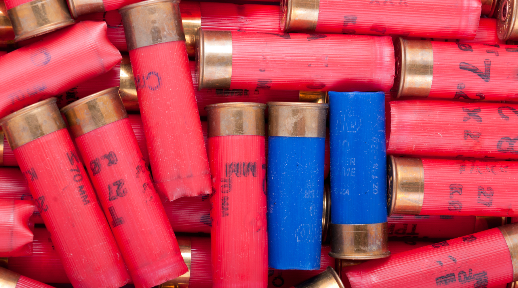 Face Ue ha aggiornato proposta su restrizioni a cartucce in piombo Face Ue ha aggiornato proposta su restrizioni a cartucce in piombo